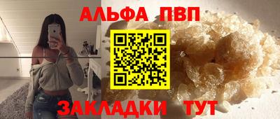 стаф Берёзовский