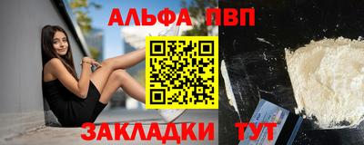 стаф Берёзовский