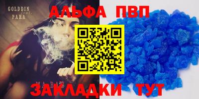 стаф Берёзовский