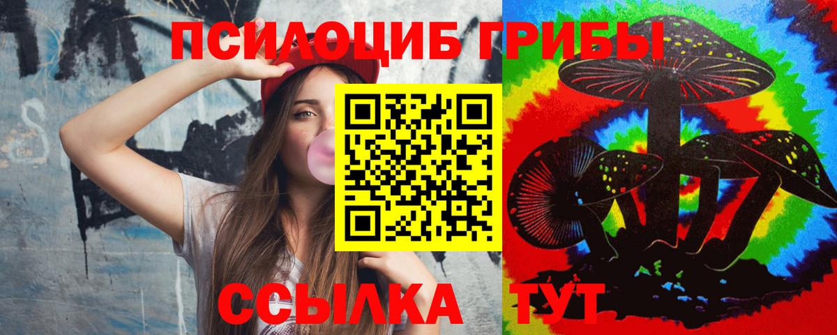 Псилоцибиновые грибы GOLDEN TEACHER  Псилоцибиновые грибы мухоморы  Зерноград  Вход с VPN 