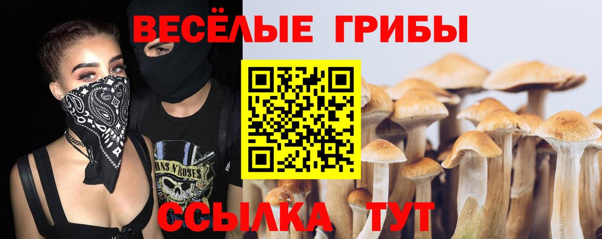 Галлюциногенные грибы MAGIC MUSHROOMS Зерноград