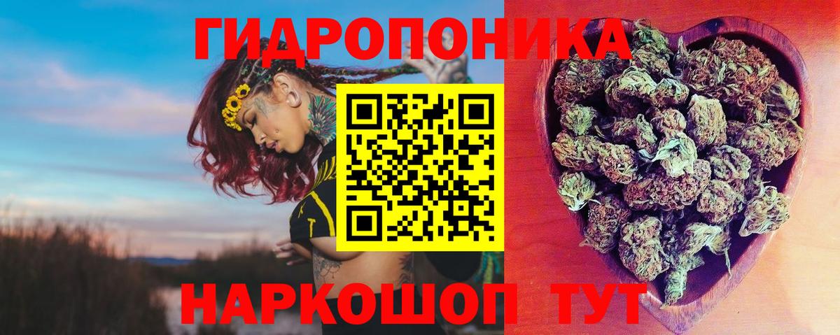 Зерноград  Конопля индика  Марихуана план  МАРИХУАНА Amnesia  Вход с VPN  МАРИХУАНА сатива 